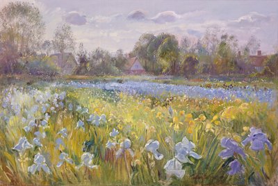 Iris Field in the Evening Light by Timothy Easton